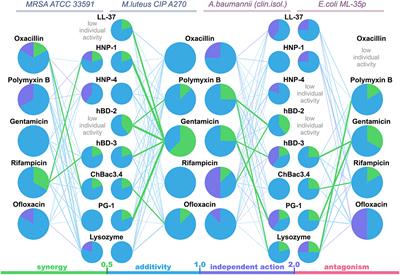 Application of Antimicrobial Peptides of the Innate Immune System in Combination With Conventional Antibiotics—A Novel Way to Combat Antibiotic Resistance?